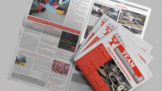 Publicatia interna TEAM